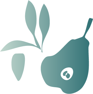 Pear illustration